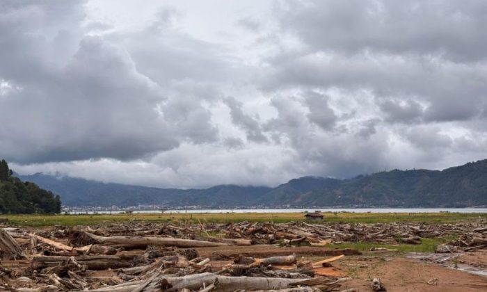 Jogjajateng.com di negeri Jogjajateng.com