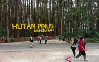 Bupati Bantul sebut sektor pariwisata merupakan lokomotif ekonomi