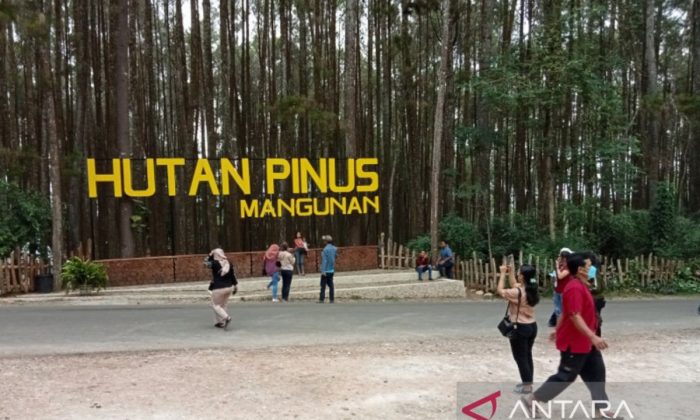 Bupati Bantul sebut sektor pariwisata merupakan lokomotif ekonomi
