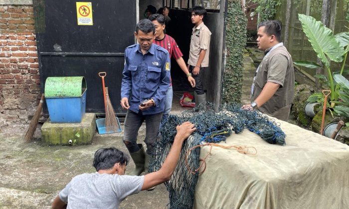 Macan tutul yang menyerang warga Bandung direhabilitasi di Cikembulan Garut
