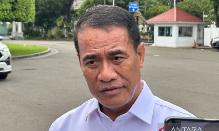 Mentan memastikan ketahanan pangan nasional stabil menjelang Ramadhan