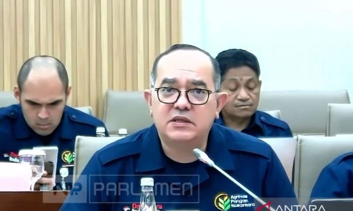 Dirut Agrinas sebut sebanyak 29 ribu Kopdes Merah Putih dibangun, 857 unit rampung