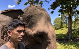 Ekosistem gajah berubah pascabencana Sumatera