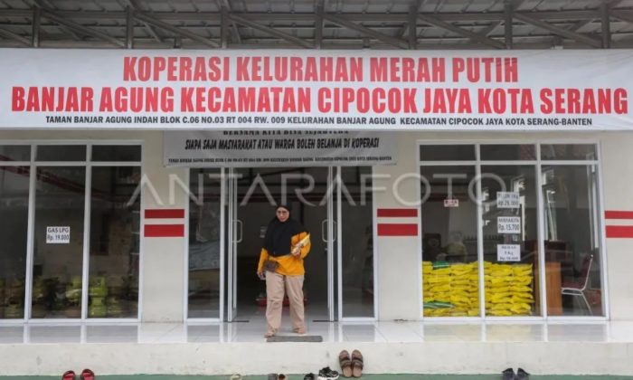 Kemendag: Ekspansi ritel modern di daerah tetap mengikuti aturan
