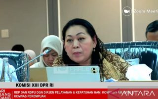 Komnas Perempuan: "Child grooming" muncul dalam relasi pacaran anak-remaja