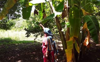 Bridging the Capital Gap: Strategic Public-Private Partnerships Invest in Young Agri-entrepreneurs