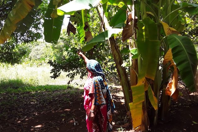 Bridging the Capital Gap: Strategic Public-Private Partnerships Invest in Young Agri-entrepreneurs