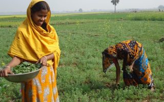 Why Tenure Reform Is Key to Curbing Land Degradation
