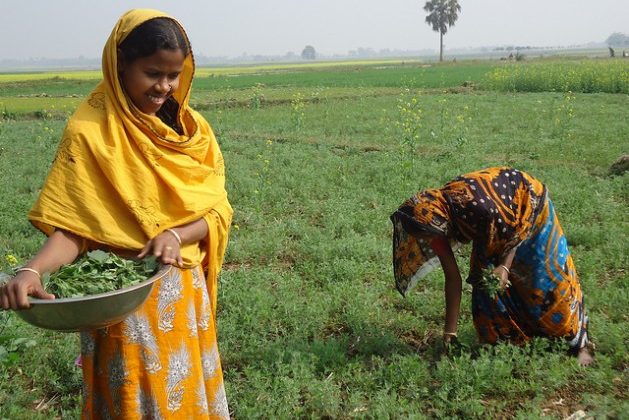 Why Tenure Reform Is Key to Curbing Land Degradation