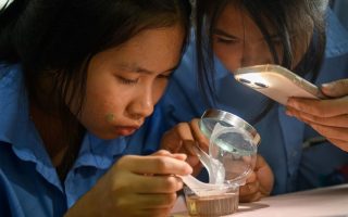 Women and girls in science: Dismantling barriers, closing gender gaps
