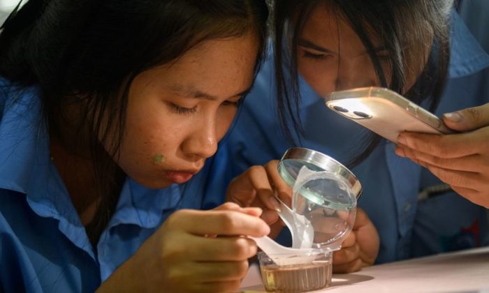 Women and girls in science: Dismantling barriers, closing gender gaps