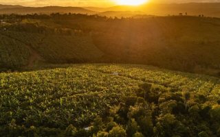 Welcome to the ‘agrihood’ – the neighbourhood of the future?