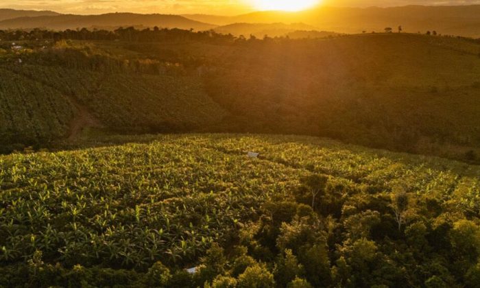 Welcome to the ‘agrihood’ – the neighbourhood of the future?