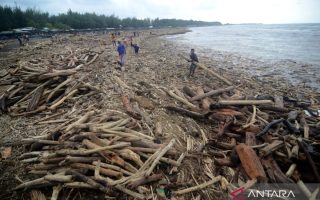 Istana respons dugaan penebangan hutan picu banjir di Guci Tegal