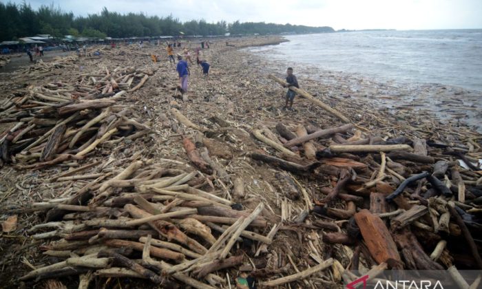 Istana respons dugaan penebangan hutan picu banjir di Guci Tegal