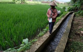 Kementan percepat rehabilitasi irigasi tersier perkuat produksi pangan