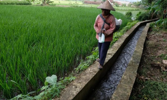 Kementan percepat rehabilitasi irigasi tersier perkuat produksi pangan
