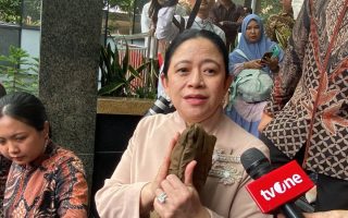 Puan soal pertemuan susulan dengan Presiden: Insyaallah secepatnya