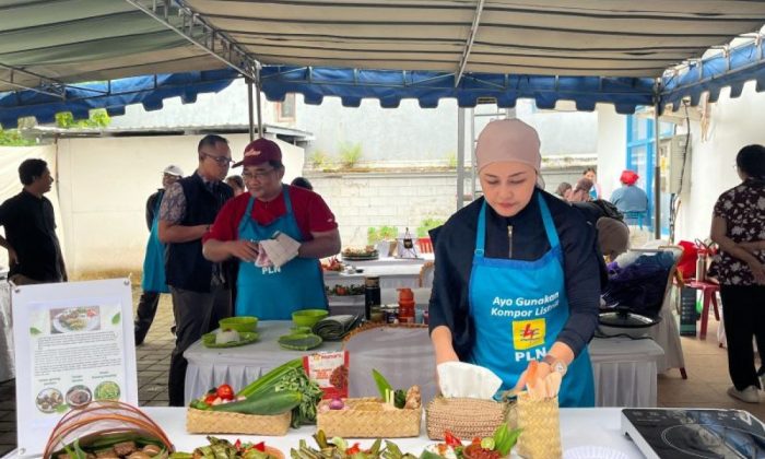Ekonom dukung transisi kompor listrik subsidi LPG guna kurangi beban
