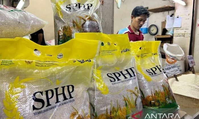 Pemerintah distribusi beras SPHP 2026 mulai Maret