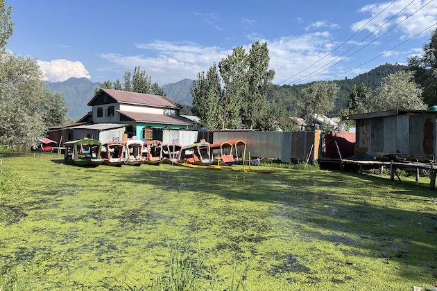Once Evicted From This Kashmir Lake, People Now Seen as Its Saviours