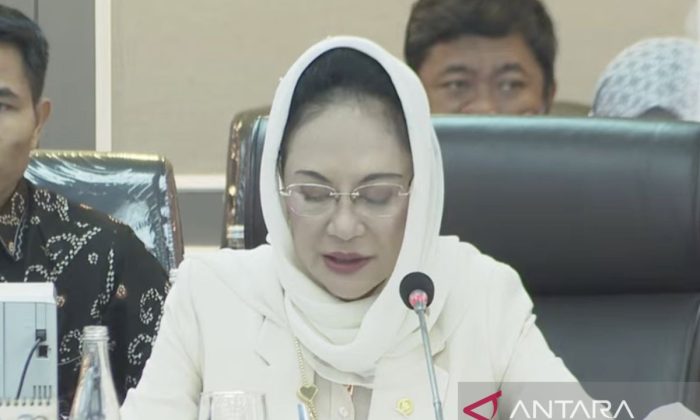 Komisi XIII: RUU PSDK memperluas objek pelindungan hingga memperkuat LPSK