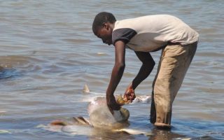 How Child Labour Persists Along Zanzibar’s Blue Economy
