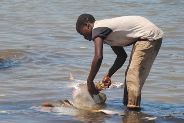 How Child Labour Persists Along Zanzibar’s Blue Economy