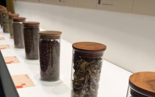 Why medicinal plants matter on World Wildlife Day