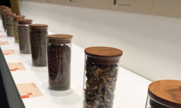 Why medicinal plants matter on World Wildlife Day