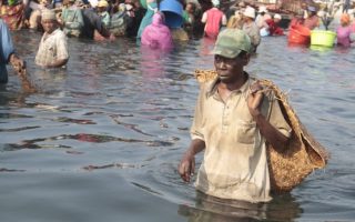 As East Africa’s Migratory Fish Vanish, a Food Security Crisis Surfaces