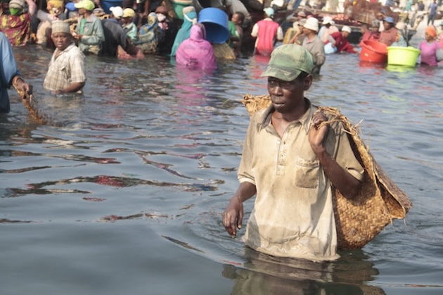 As East Africa’s Migratory Fish Vanish, a Food Security Crisis Surfaces