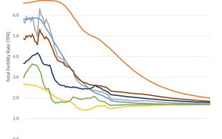 The Most Appropriate Response to Falling Birthrates? Embrace Them