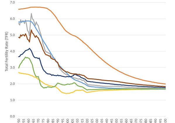 The Most Appropriate Response to Falling Birthrates? Embrace Them