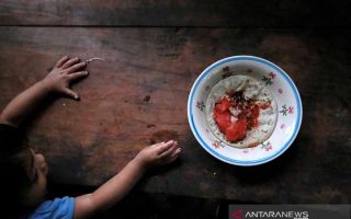 FAO: Harga pangan global naik 2,4 persen akibat kenaikan biaya energi