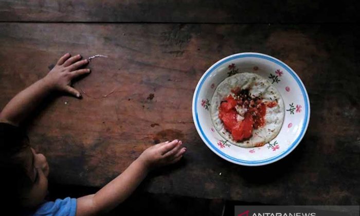 FAO: Harga pangan global naik 2,4 persen akibat kenaikan biaya energi