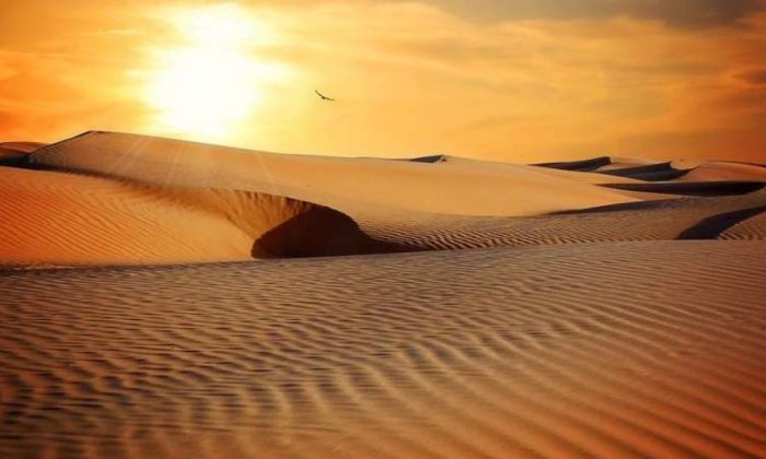 Negara Tetangga RI Ini Bisa Sepanas Sahara di 2070, Ilmuwan Ungkap Ancaman Serius Bagi Kehidupan Manusia