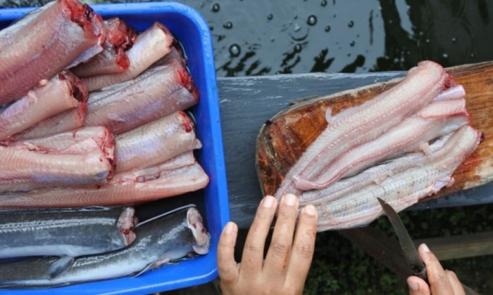 17 Ide Usaha di Kampung untuk Pemula, Modal Kecil Untung Menjanjikan dan Mudah Dijalankan