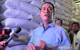 Mentan bertekad menjadikan Indonesia "superpower" pangan dunia