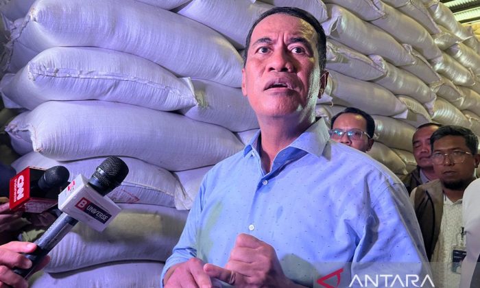 Mentan bertekad menjadikan Indonesia "superpower" pangan dunia