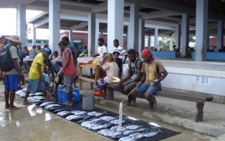 Pacific Islanders Combat Mercury Poisoning of the Environment