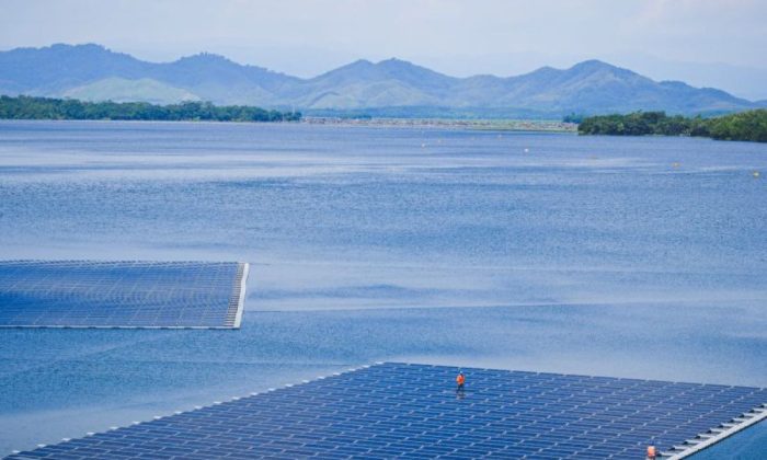 PLN Watch: Pengembangan 100 GW PLTS membangun fondasi energi nasional