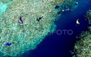 Indonesia perkuat kolaborasi global dalam perlindungan laut lepas