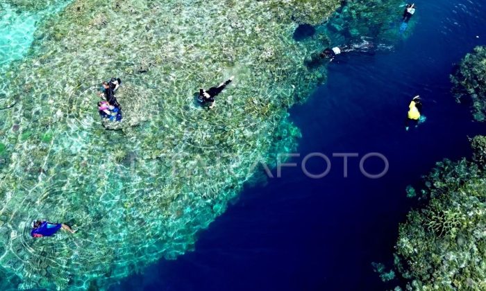 Indonesia perkuat kolaborasi global dalam perlindungan laut lepas