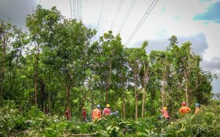 Listrik aman selama Idulfitri, PLN sukses amankan jalur transmisi strategis