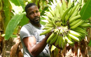 Shockwaves of Middle East war reach Caribbean as food prices soar
