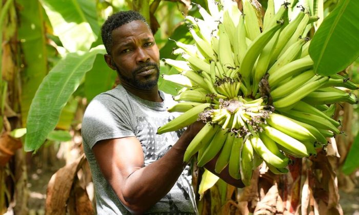 Shockwaves of Middle East war reach Caribbean as food prices soar