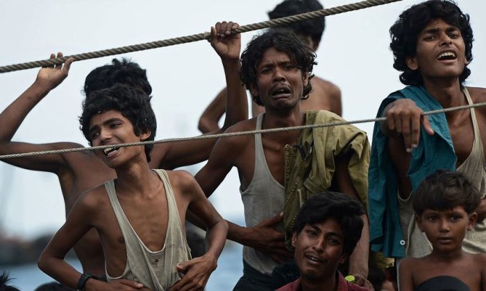 Record number of Rohingya refugees died at sea in 2025: UNHCR