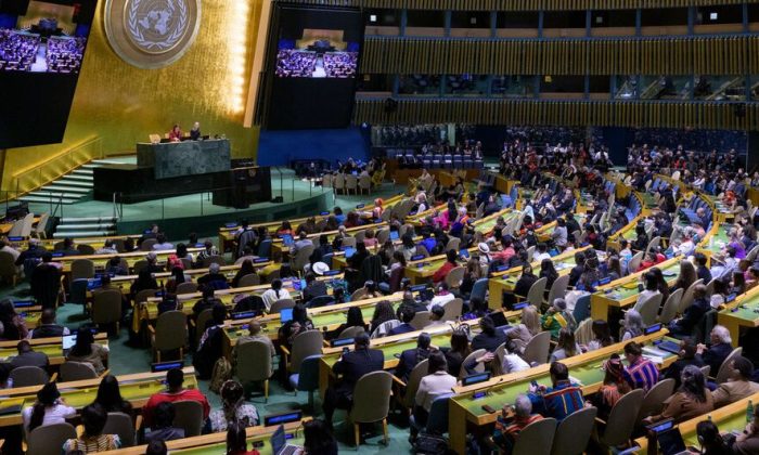 UN Forum puts spotlight on healthcare for Indigenous Peoples