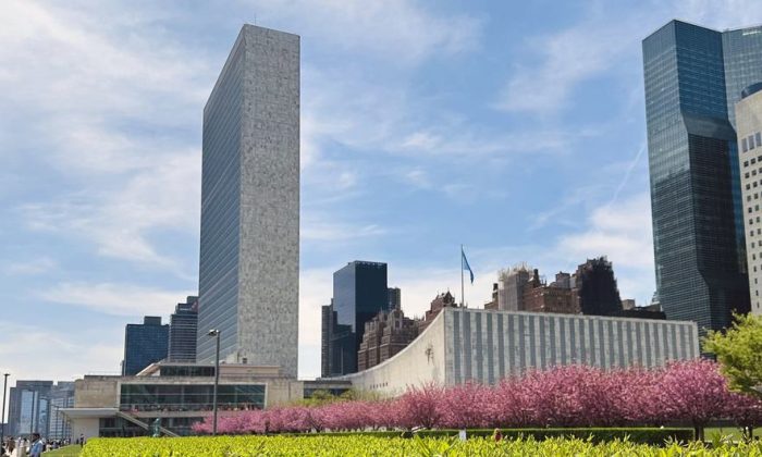 Secretary-General hopefuls make their case in televised ‘interactive dialogues’